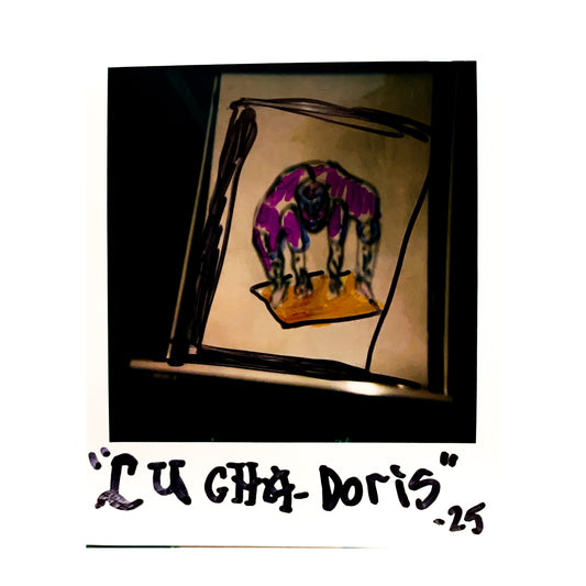 "Lucha-Doris"(80x110cm)