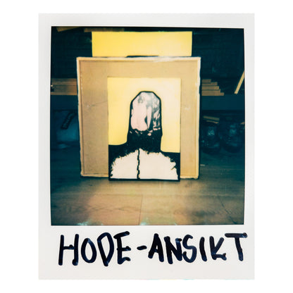 "Hode-ansikt" (30x42cm)