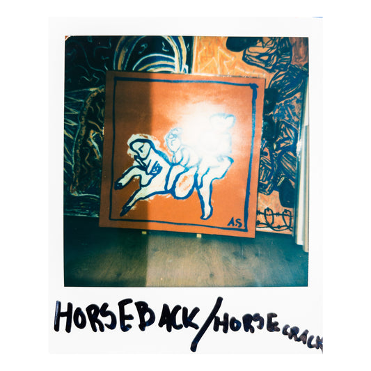 "HORSEBACK/HORSECRACK" (70x70cm)